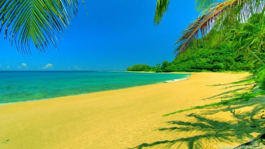 Summer Beach Scene HD Desktop Wallpapers High Definition