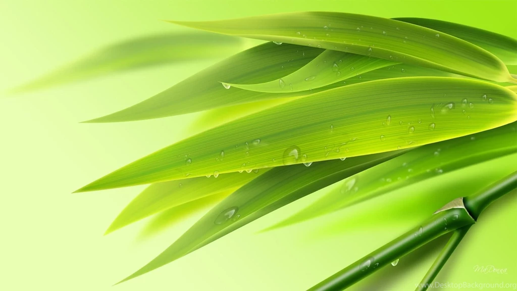 Green Bamboo Wallpapers >> Backgrounds With Quality HD