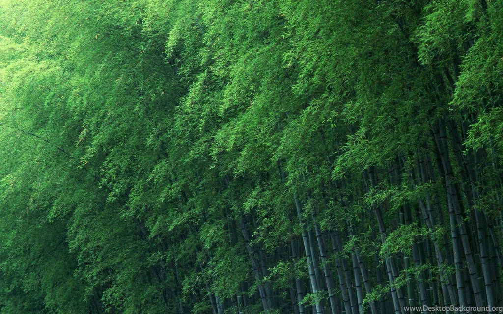 Macbook Air HD Wallpapers (59)