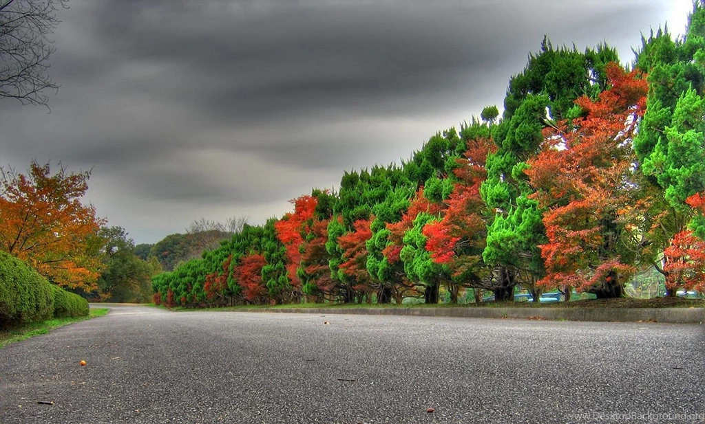 PC Desktop HD Wallpapers