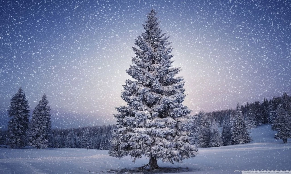 Fairy Tale Winter HD Desktop Wallpapers : High Definition ...