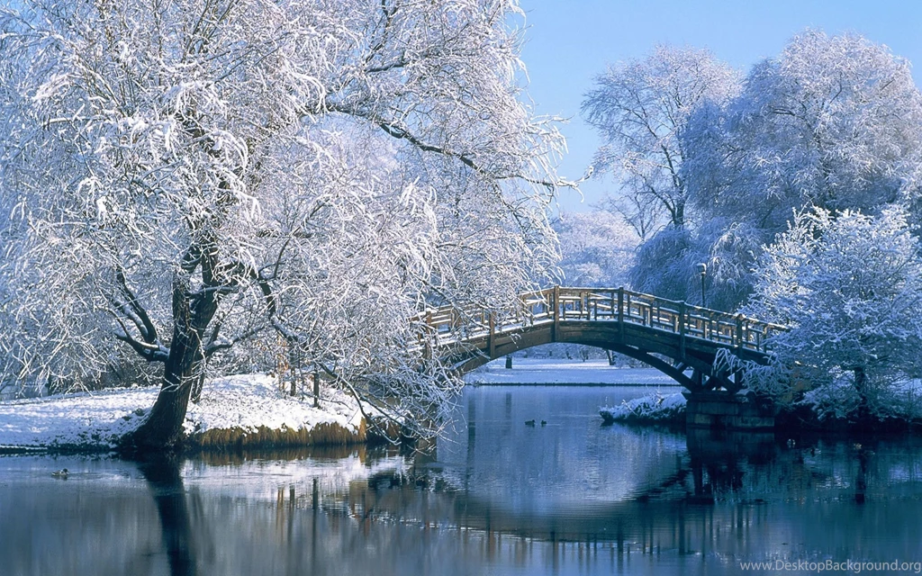 Winter Backgrounds Wallpapers