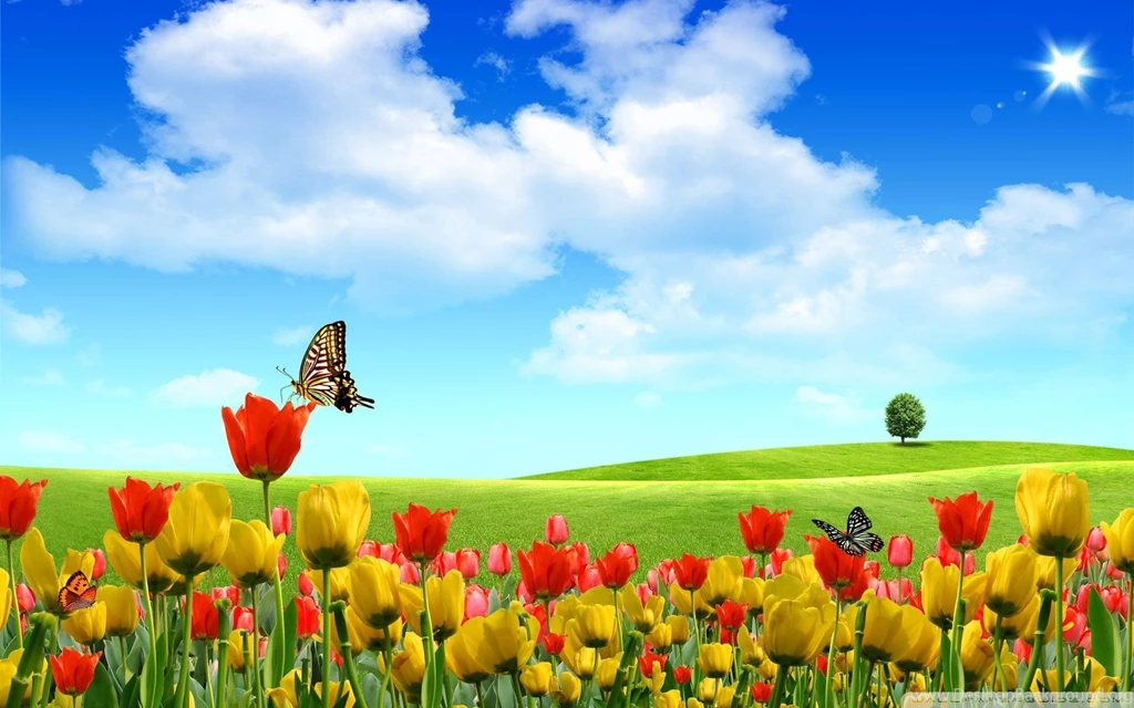 Spring Wallpapers Picture