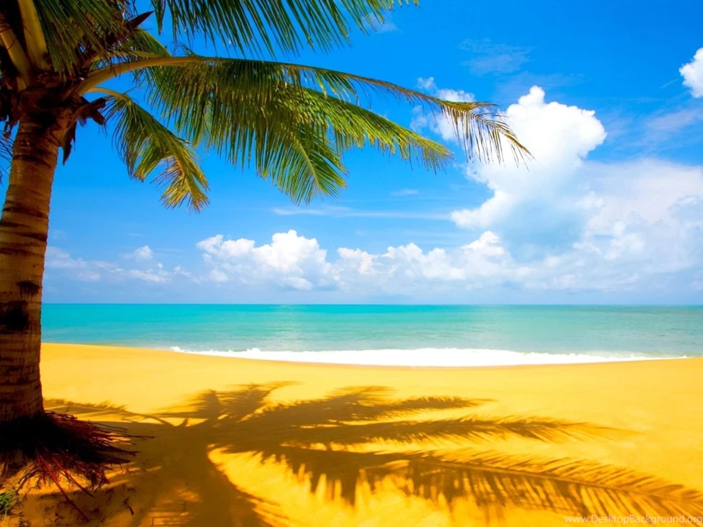 Ocean Backgrounds