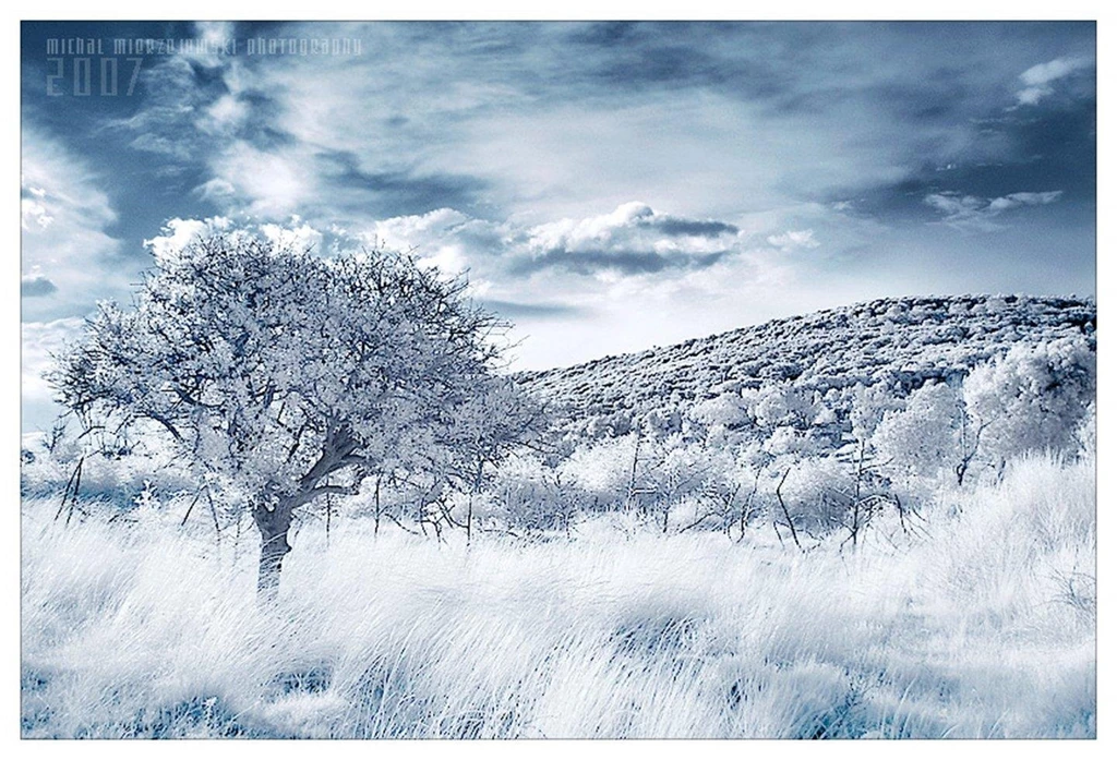 Desktop Wallpapers Winter Snow Www