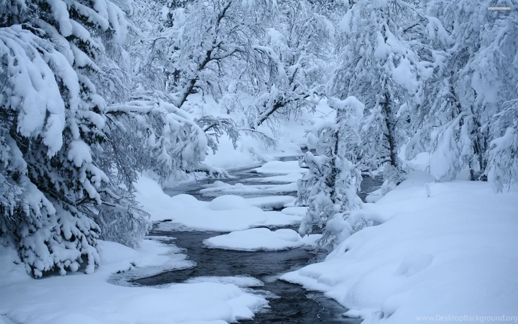 Calm River In The Winter Forest Wallpapers
