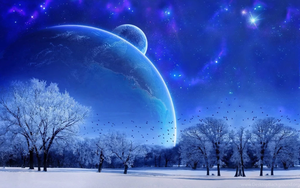 Winter Forest Wallpapers And Images Wallpapers, Pictures, Photos