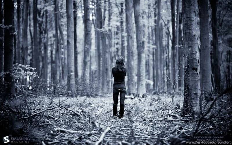 Beautiful Pictures Of Dark Forest