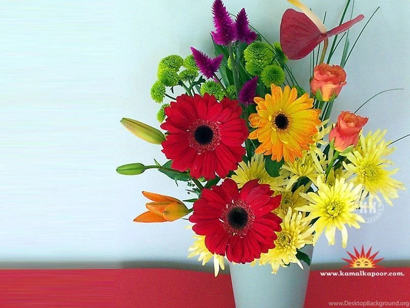 Flowers Wallpapers, Flowers Desktop Wallpaper, Free Download ...