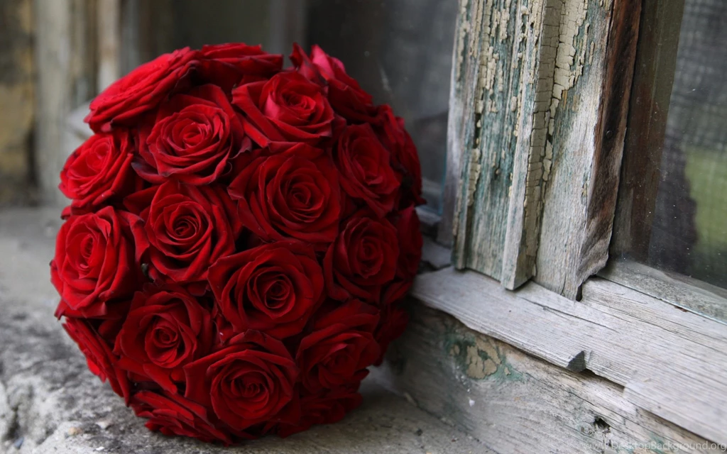 Flowers Wallpapers Archives Page 10 Of 15 Free Desktop ...
