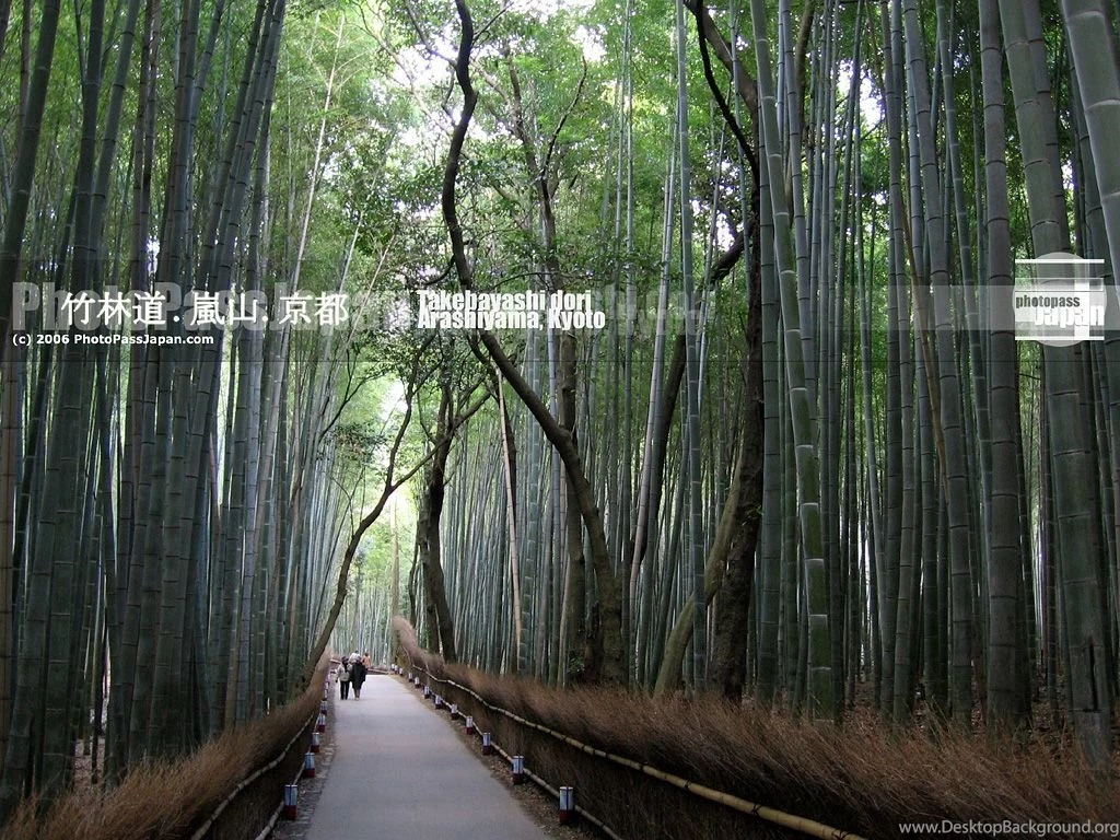 Tokyo And Japan Wallpapers : Download Backgrounds Pictures