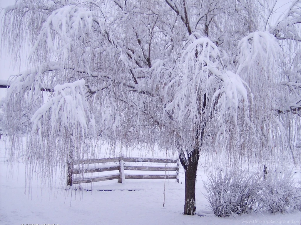 Winter Wallpapers
