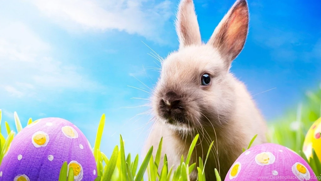 Easter Bunny Desktop Wallpaper 1080p.jpg