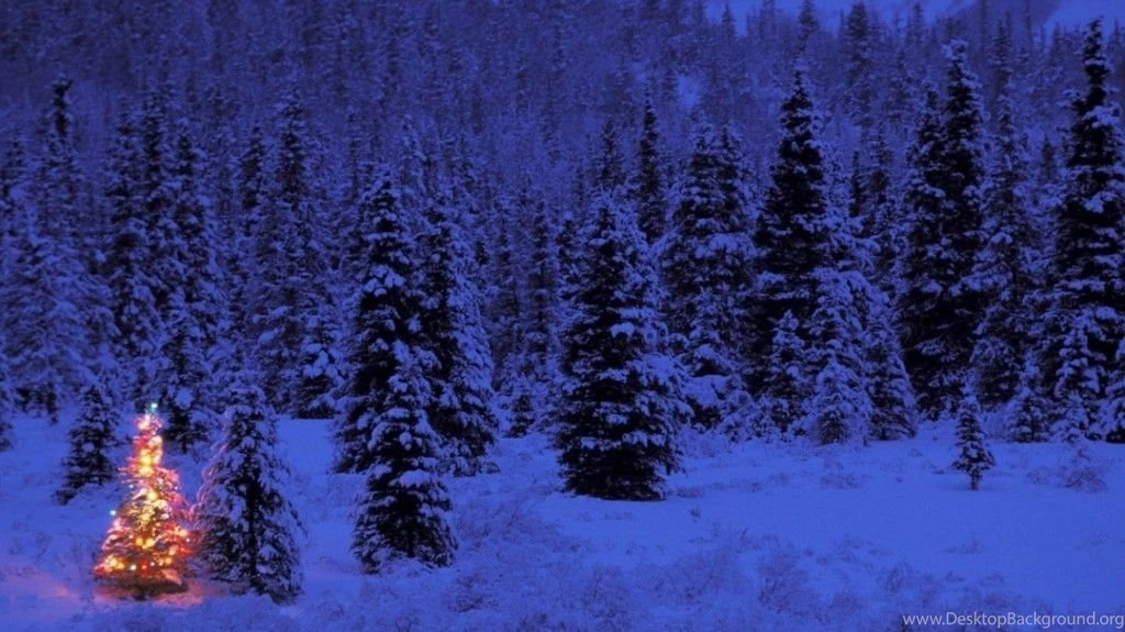 Snowy Christmas Tree Wallpaper Images