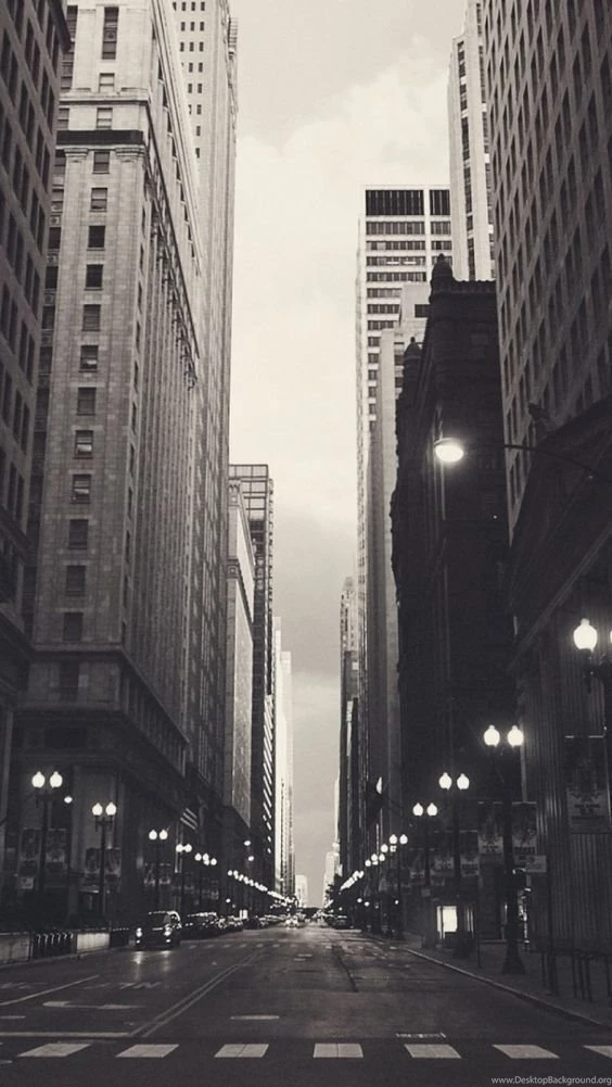 Chicago City Landscape. Tap To See More Black And White Style ...