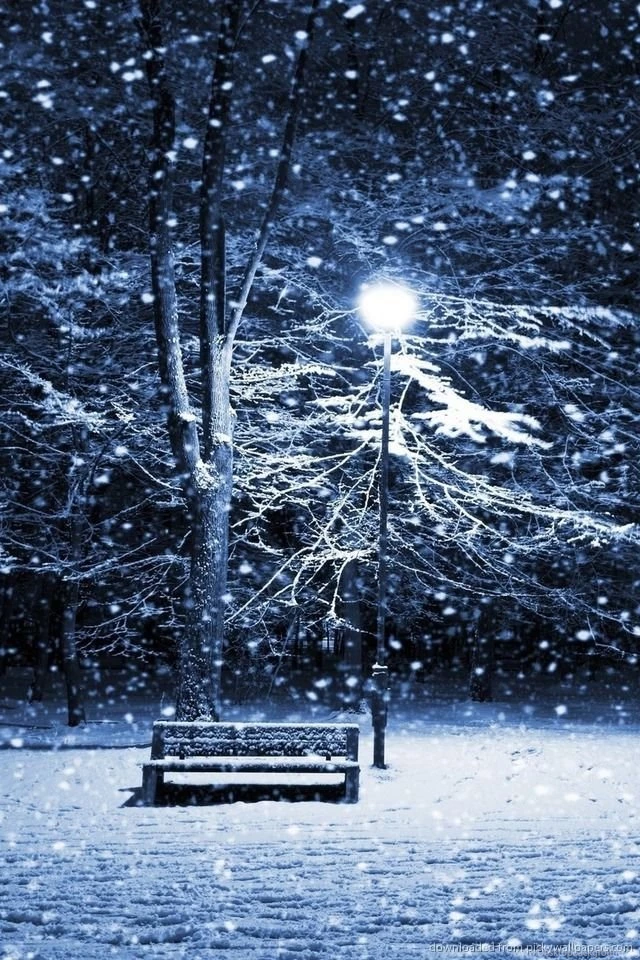 Download Winter Street With Bench And Lamp Post Wallpapers For iPhone 4