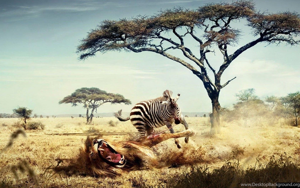Most Powerful Lions In World
