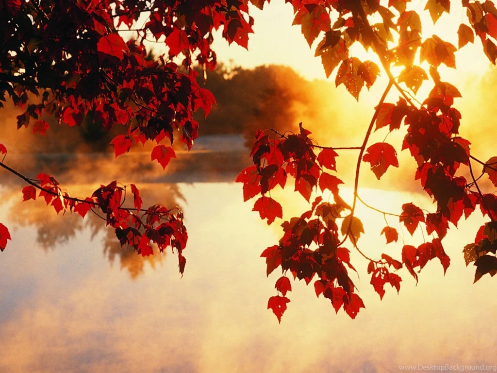 Autumn Colours Wallpapers Picture