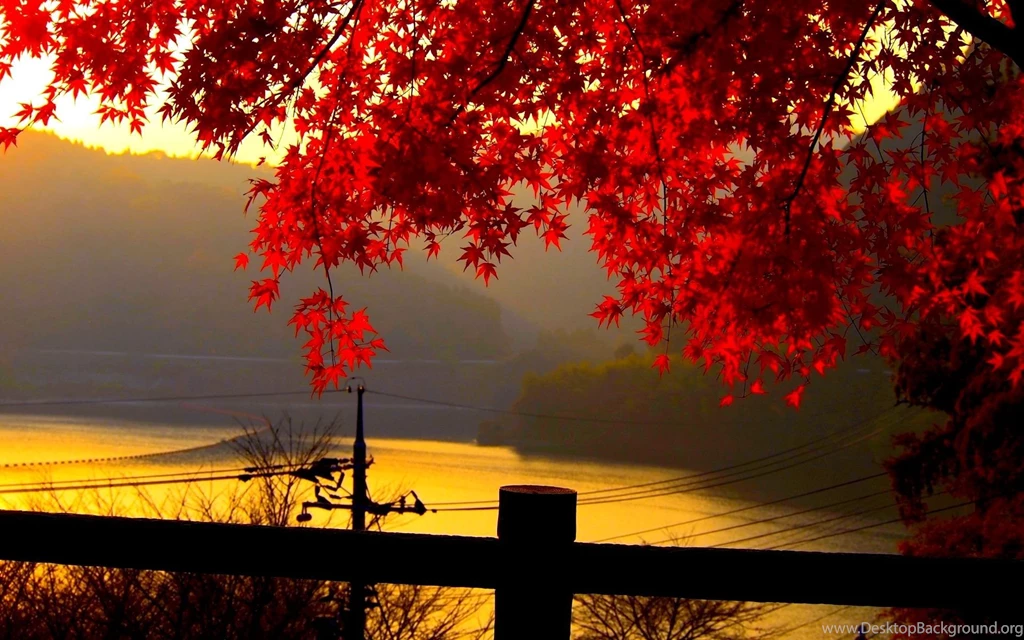 Autumn Mountain Wallpapers Widescreen
