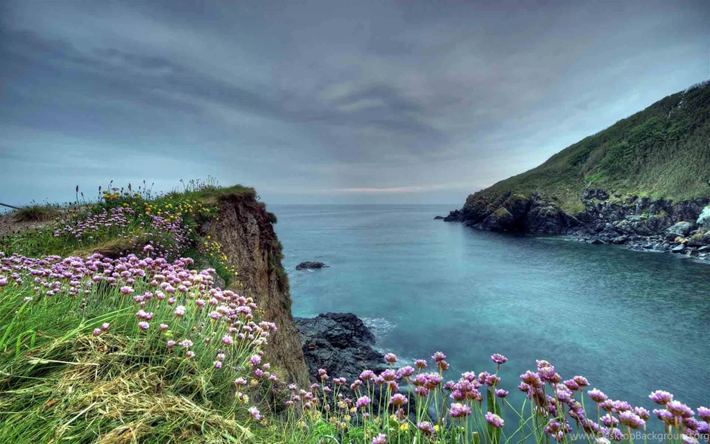 Desktop Wallpapers Nature 1552566