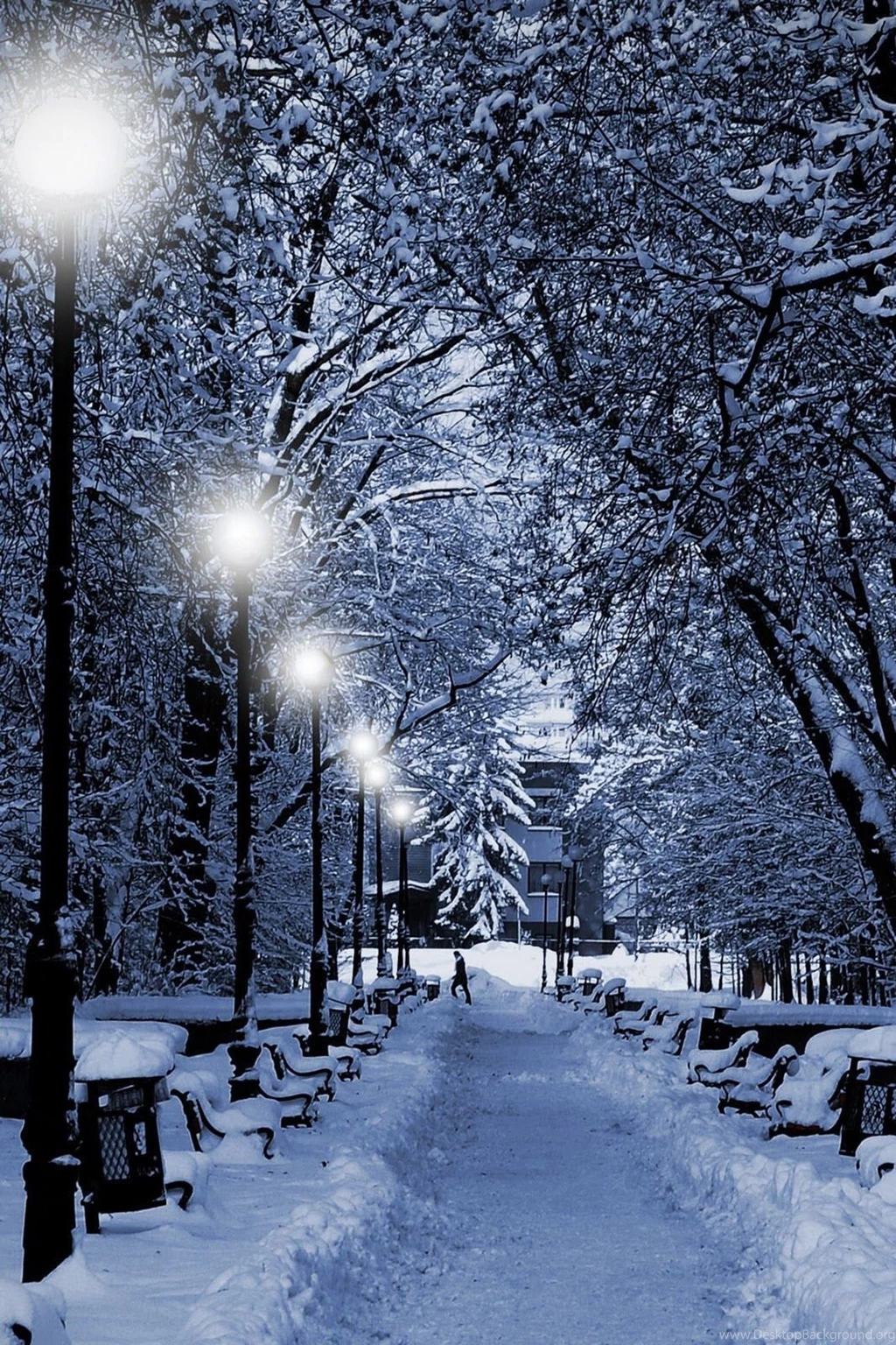 Winter park iphone new years eve christmas santa wallpaper.jpg