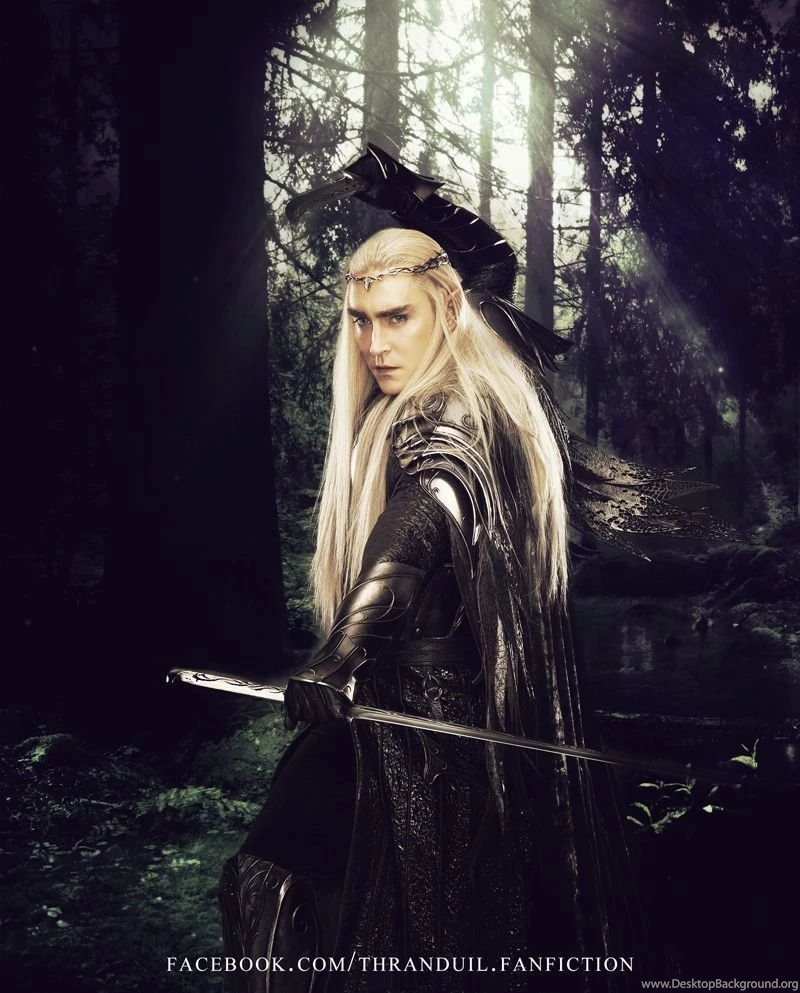 Thranduil   Aran En Eryn Lasgalen By Chaela chan On DeviantArt