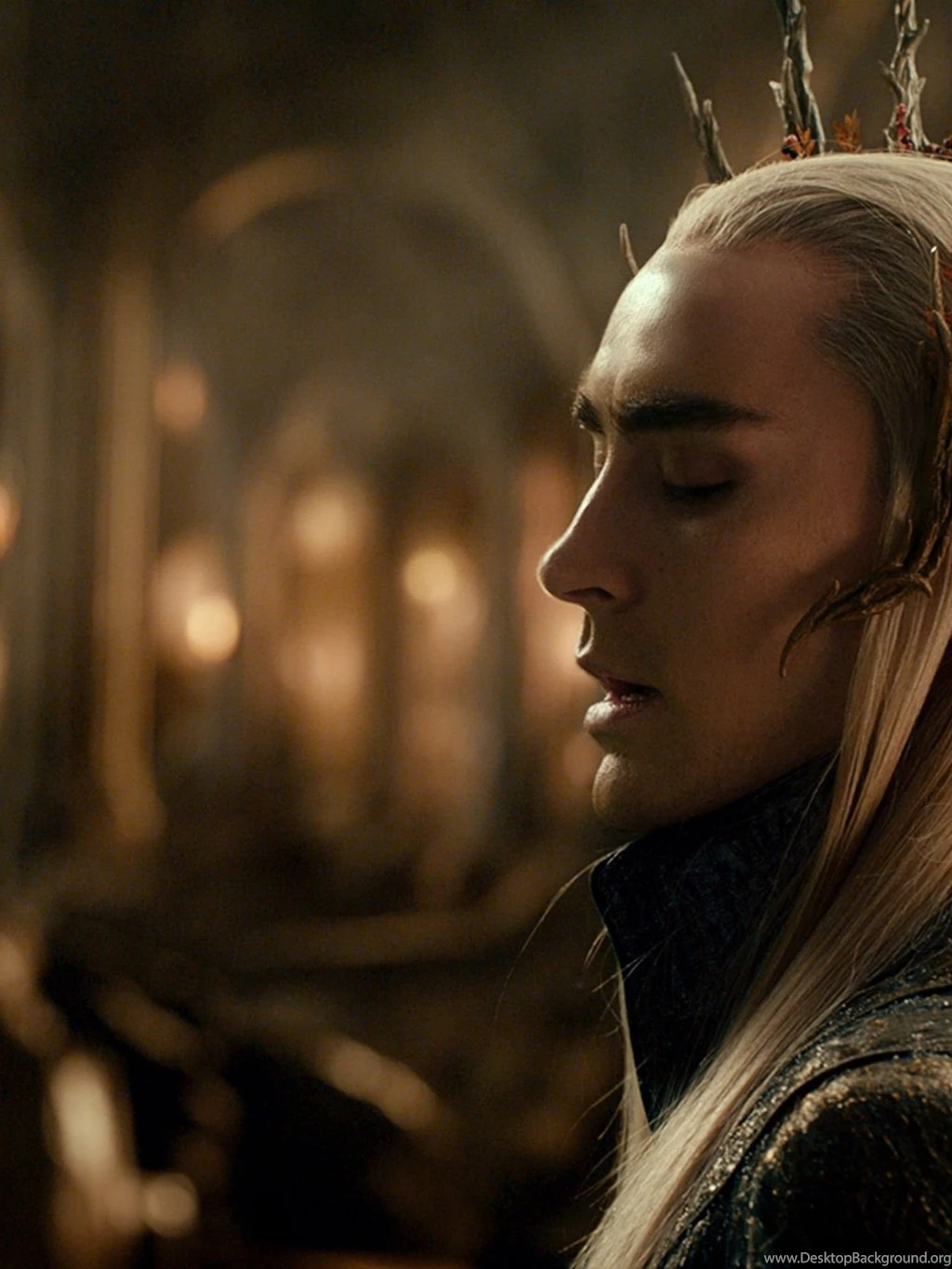 Lee Pace Thranduil Retina iPad   Wallpapers   Wallpapers Style