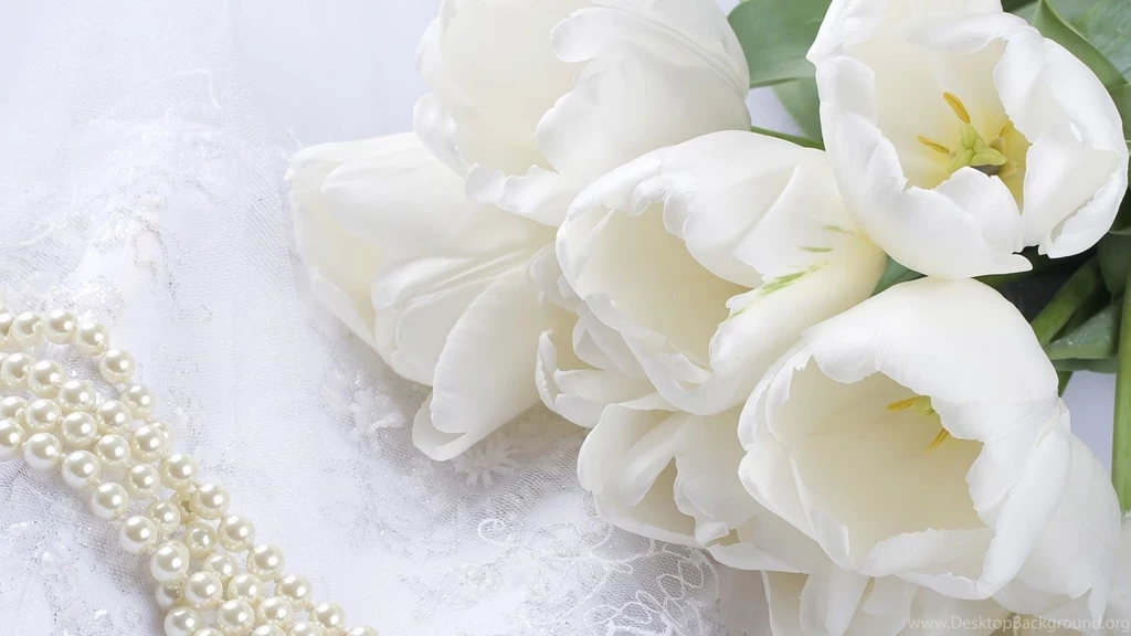 Beautiful Flower Wallpapers Hd HD Wallpapers And Pictures