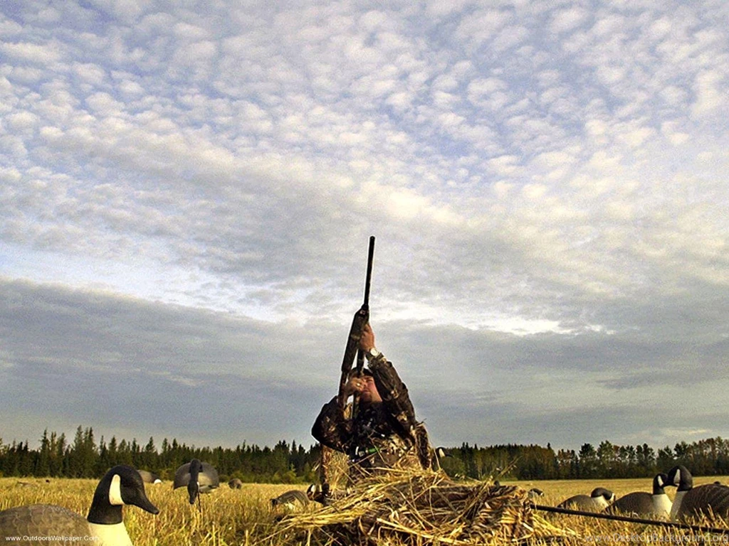 Hunting Wallpapers