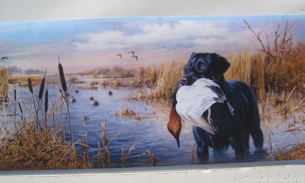Dog Wallpapers Border