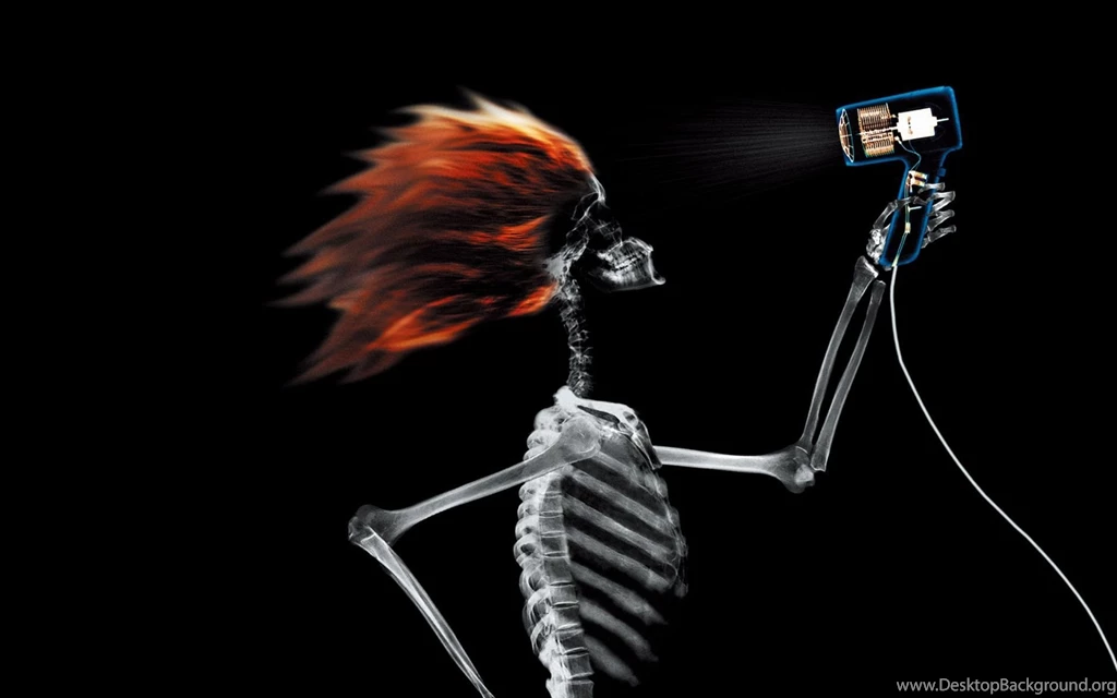 Top Awesome Funny Wallpaper Images For Pinterest