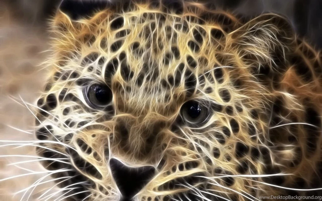 Top Leopard Print Ipad Wallpaper Images For Pinterest