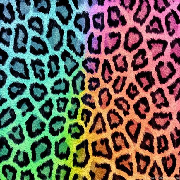 Leopard Backgrounds