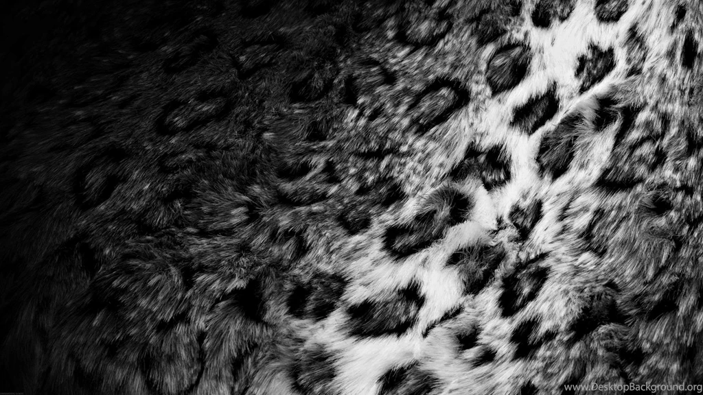 Leopard Computer Wallpapers, Desktop Backgrounds