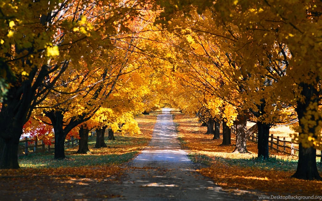 Fall Computer Wallpapers, Desktop Backgrounds