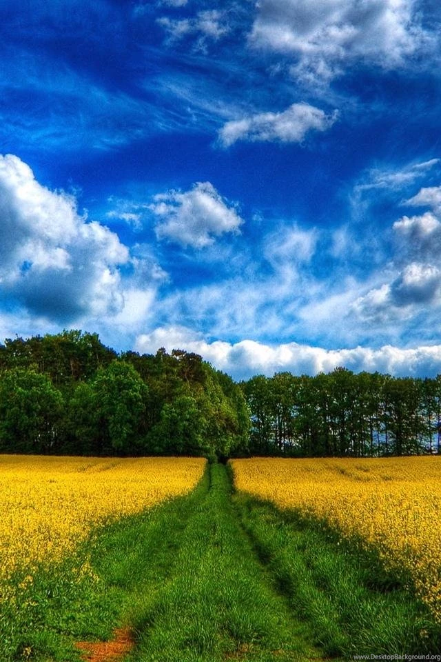 Natural_Wallpaper_for_iPhone_Backgrounds_iPhone_5_Pictures_Wallpapers_and_Backgrounds 141.jpg