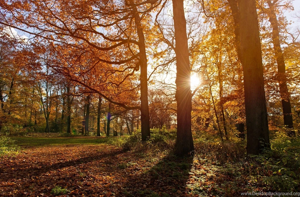 Fall Computer Wallpapers, Desktop Backgrounds