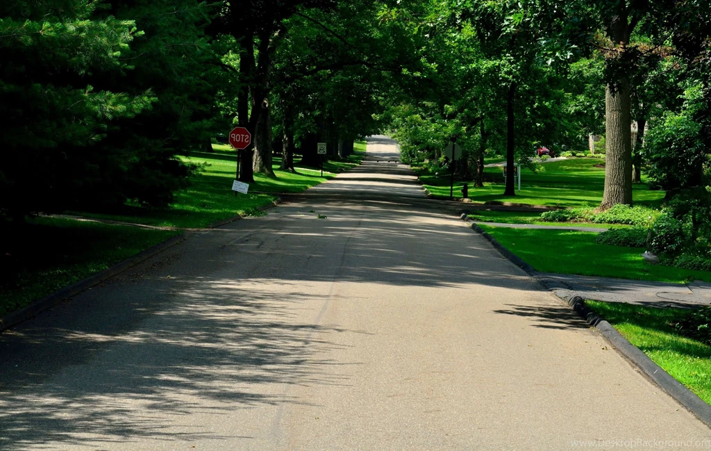 Hd Nature Images, Wallpapers Of Natures, Organic, Plants, Fresh Air ...