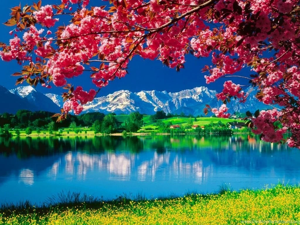 Nature HD Wallpapers