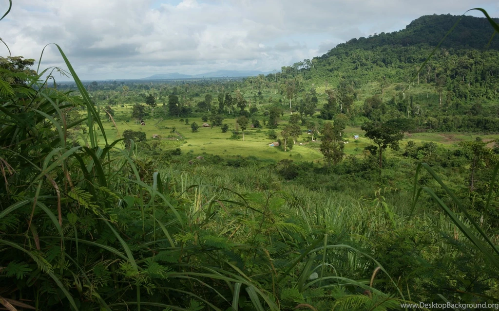 Jungle Wallpapers Hd 147569