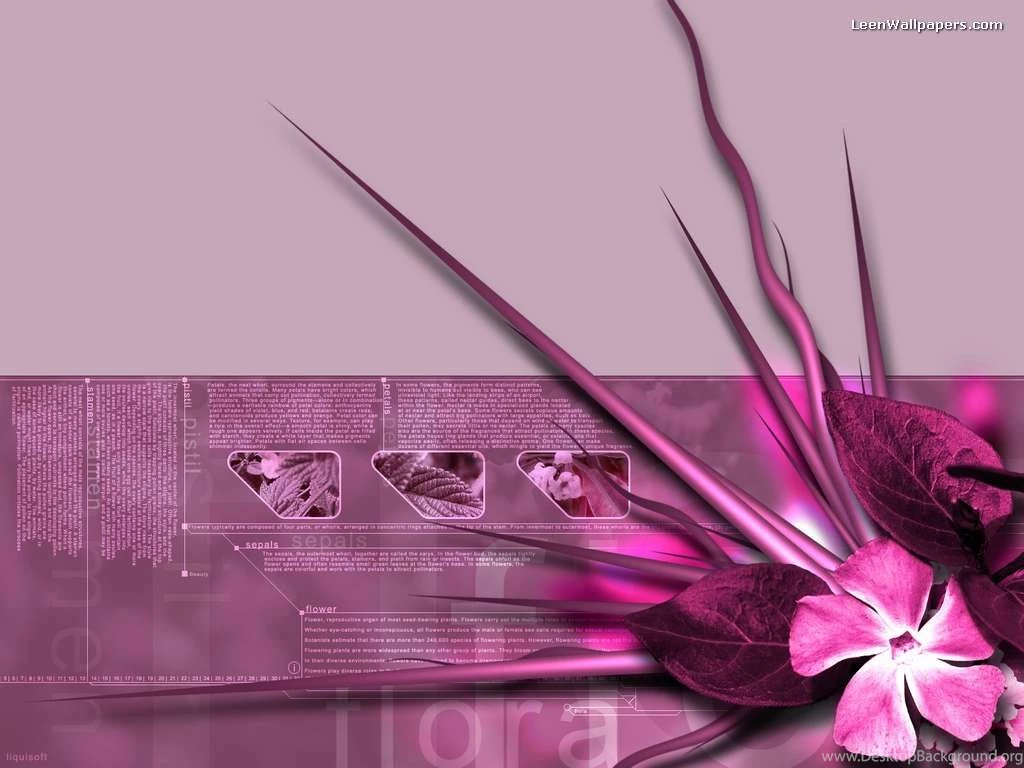 Pink Backgrounds Wallpapers