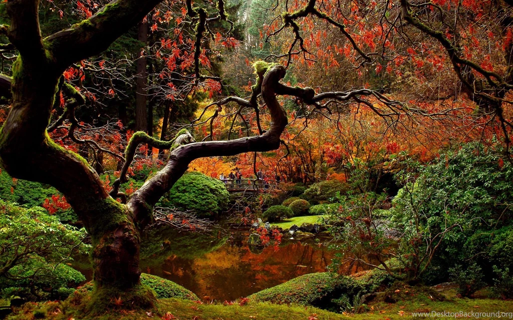 Japanese Garden Wallpaper Images