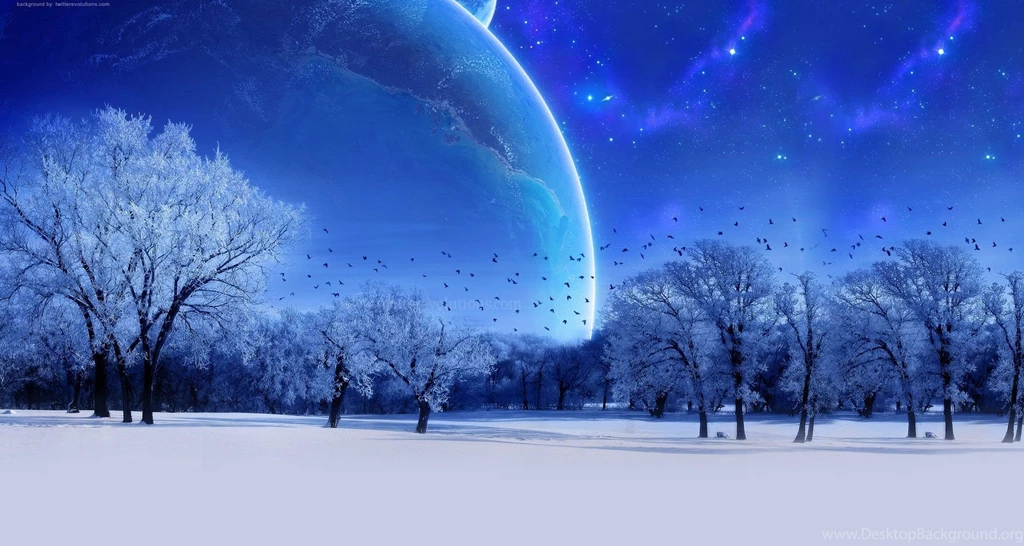 Magical Winter Forest Twitter Backgrounds Twitterevolutions