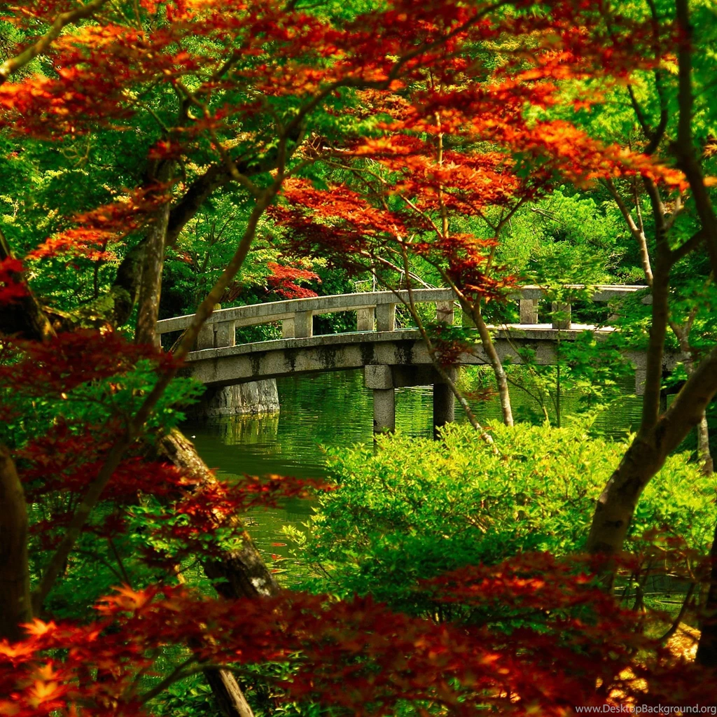 Most Popular iPad Wallpapers