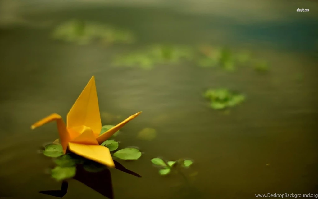 Origami Crane Floating On The Pond Wallpapers Photography ...