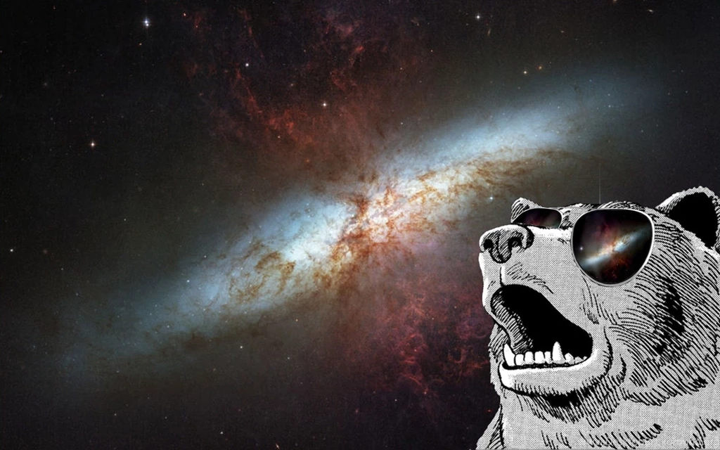 HDscreen: Grizzly Bears Outer Space Desktop Bakcgrounds