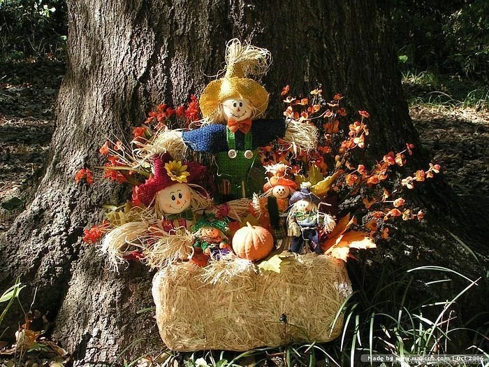 Autumn Display : Scarecrow & Pumpkins Wallpapers   Wallcoo.net
