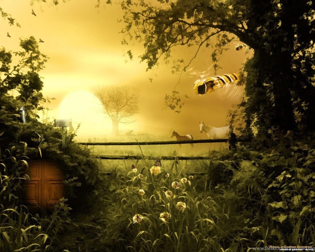The Word 'cartoon: Horse Desktop Themes