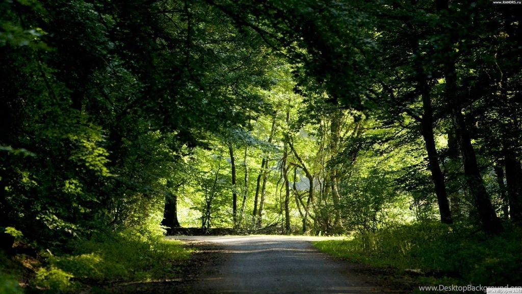 Top Tapety Full Hd Images For Pinterest