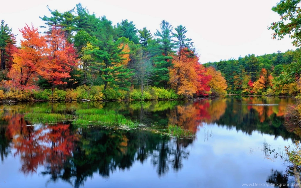 Download Wallpapers 1920x1200 Lake, Reflection, Autumn, Trees ...
